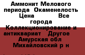 Аммонит Мелового периода. Окаменелость. › Цена ­ 2 800 - Все города Коллекционирование и антиквариат » Другое   . Амурская обл.,Михайловский р-н